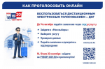 Дистанционное электронное голосование: ЦИК России информирует избирателей Алтайского края