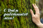 Поздравляем с наступающим профессиональным праздником - Днем работников леса!