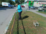 Субботники в Ленинском районе продолжаются: жители делают город уютнее