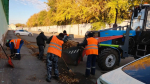 Более 10 тысяч барнаульцев присоединились ко второму «Чистому четвергу»
