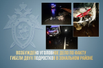 Следственными органами СК России по Алтайскому краю возбуждено уголовное дело по факту гибели двух подростков в Зональном районе