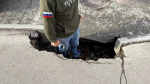 Яма в центре Барнаула / Фото: паблик "Народный фронт Алтайского края"