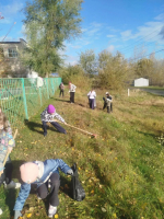 В Центральном районе прошел «Чистый четверг»: к акции присоединились более 1300 человек