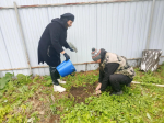В Центральном районе прошел «Чистый четверг»: к акции присоединились более 1300 человек