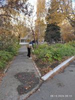 Студенты и преподаватели АлтГТУ продолжают традицию осенних субботников